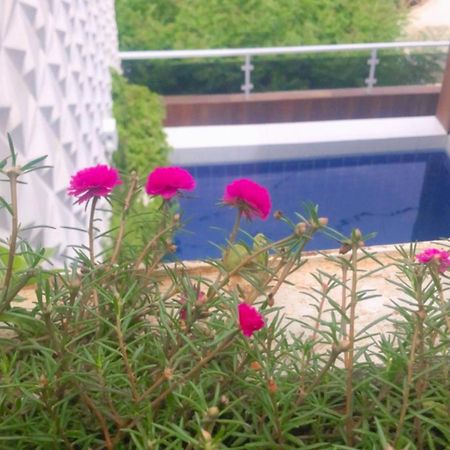Pousada Berro Do Bode Hotell Cabaceiras Eksteriør bilde